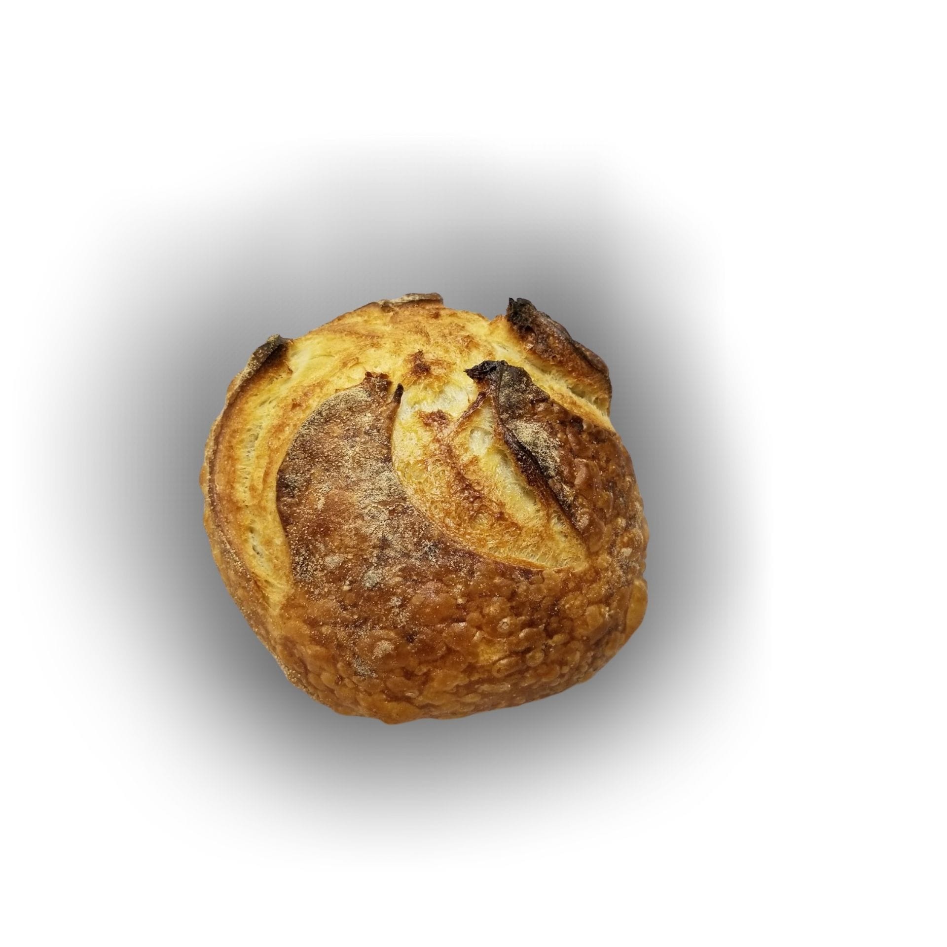 Everyday Sourdough Bread Boule