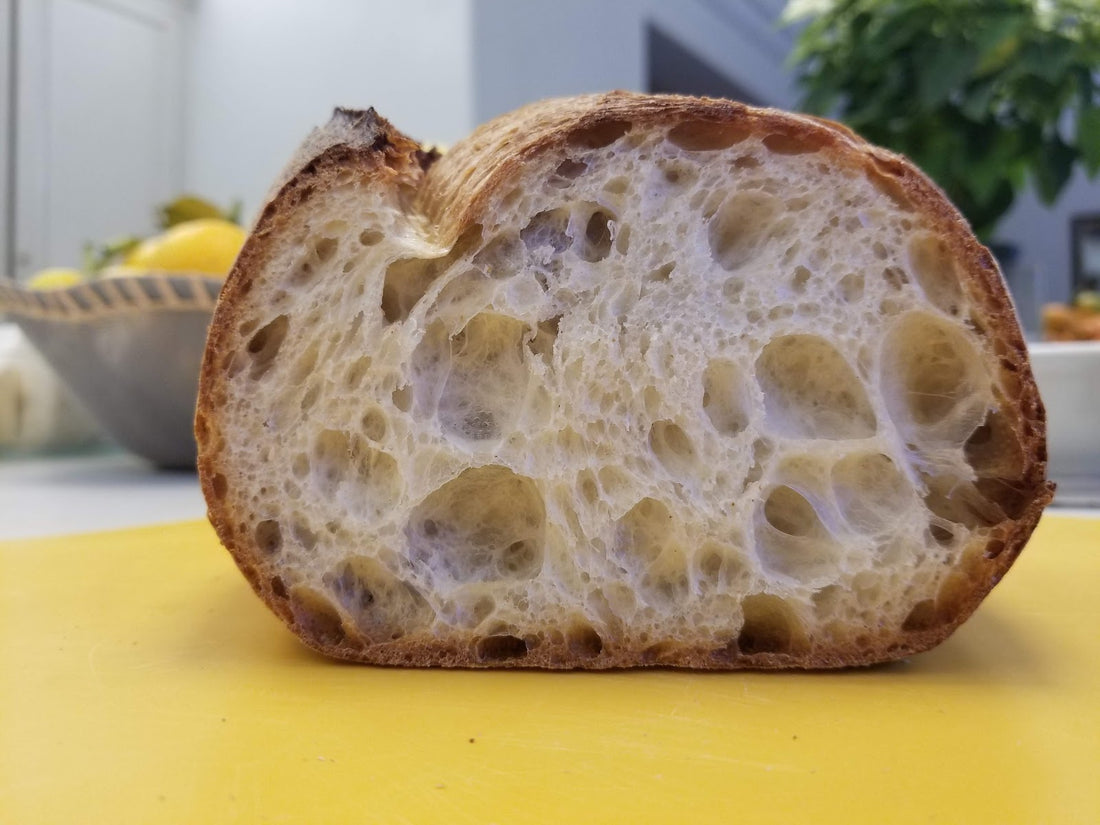 Bread Essentials: The role of fermentation